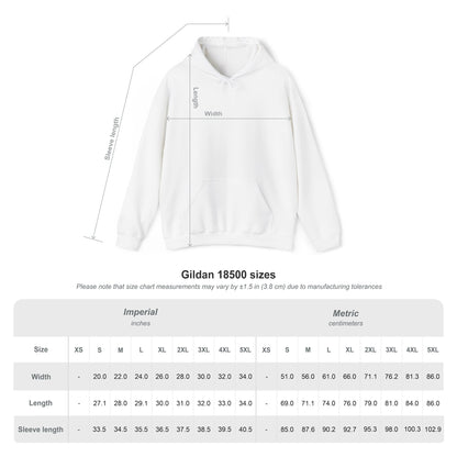 Hoodie size chart for RubiBloom “Delulu but make it aesthetic” collection — detailed unisex sizing guide for cozy pastel hoodies.