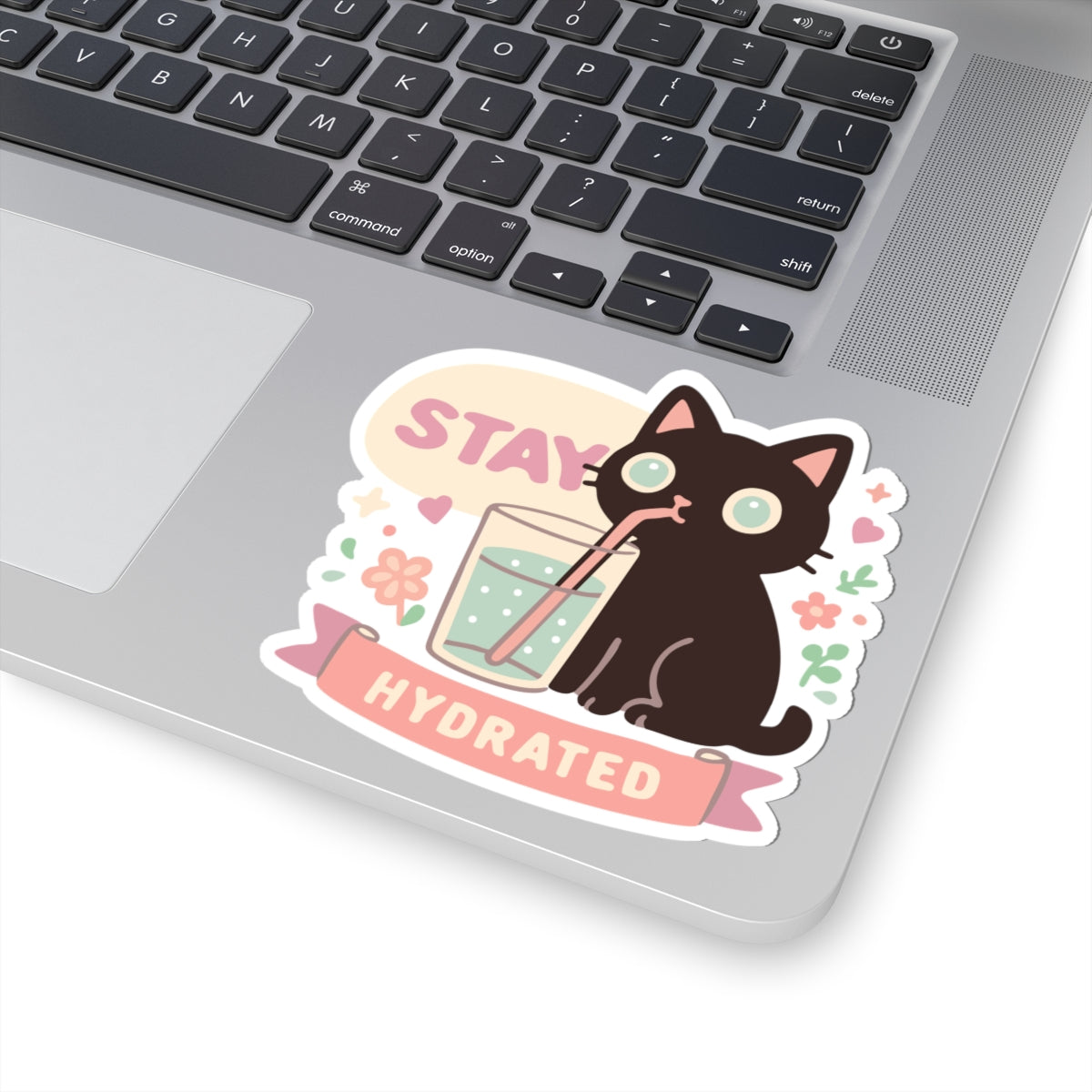Stay Hydrated Cat Sticker