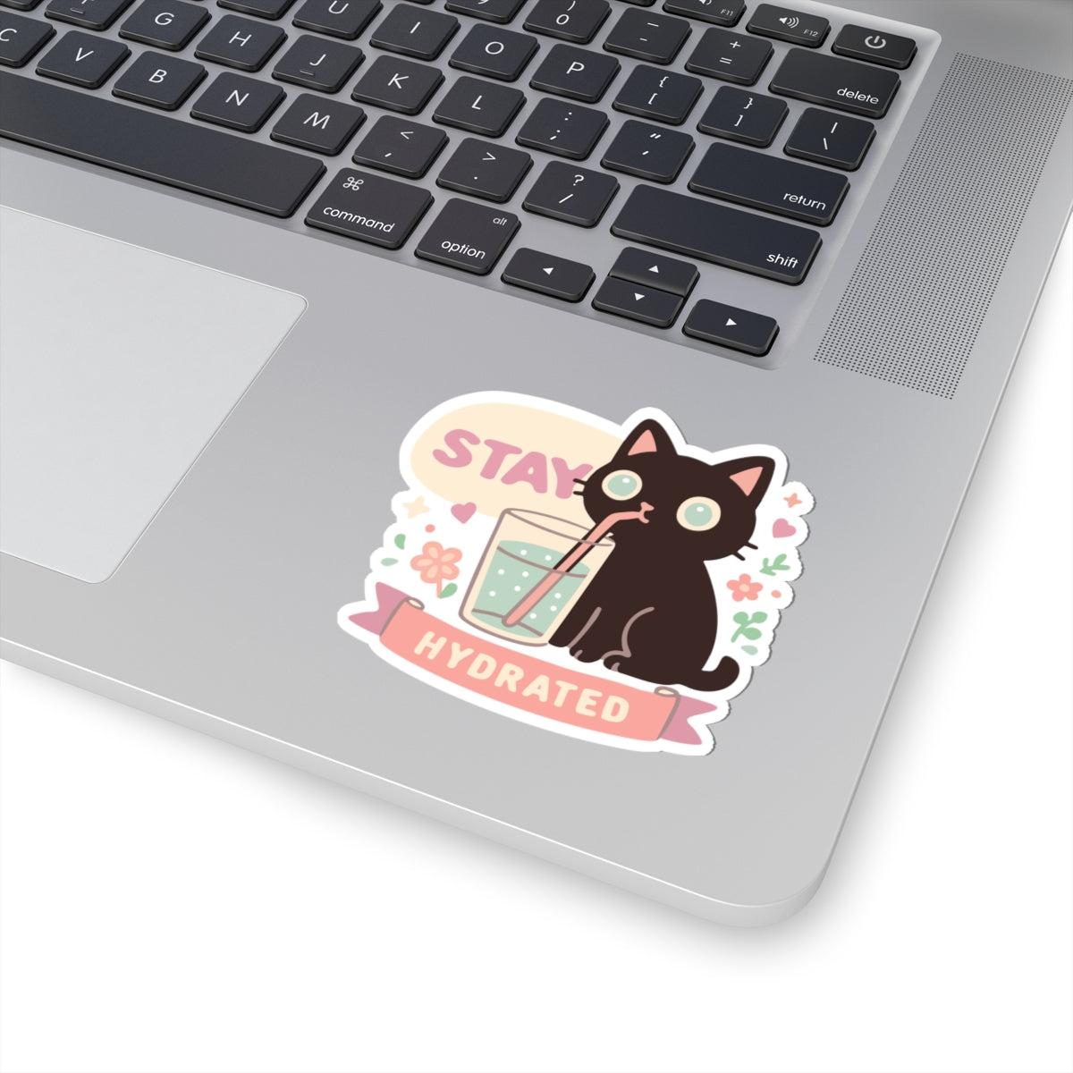 Stay Hydrated Cat Sticker