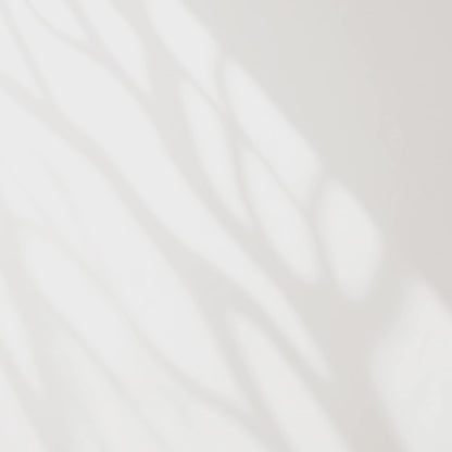 Coastal Seashell PNG SVG Design